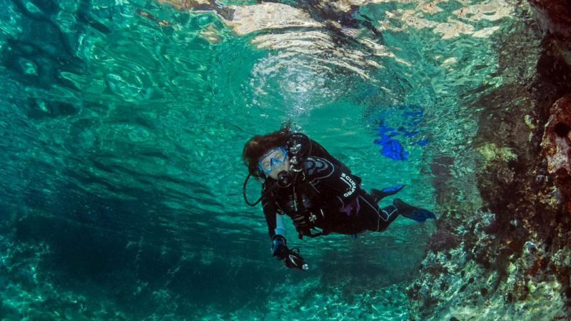 Dans les eaux transparentes de la grèce découvrez l'univers marin avec le club de plongée Epidive à Epidavros en Grèce
